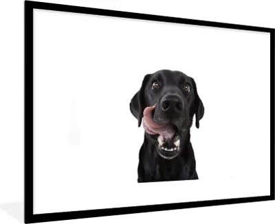 Produktbild von MuchoWow® MuchoWow® Gerahmtes Poster Hund - Schwarz - Lecken 90x60 cm - Poster mit zchwarzem Bilderrahmen - Wanddekoration - Fotos