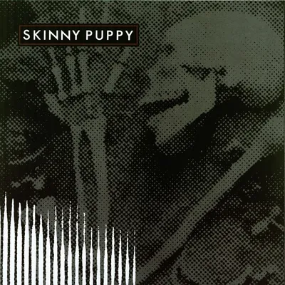 Produktbild von Skinny Puppy-Remission (Reissue)