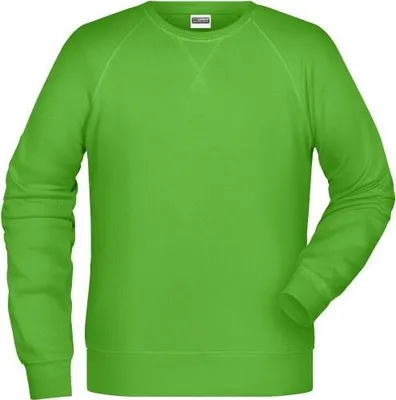 Produktbild von Klassisches Sweatshirt mit Raglanärmeln lime-green, Gr. XL