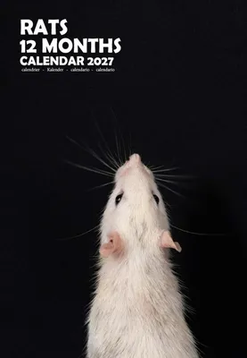 Produktbild von A3 Wandkalender 2027 mit Rattenmotiven