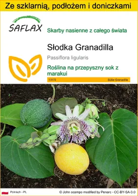 Zdjęcie produktu dla SAFLAX - Zestaw do uprawy - Słodka Granadilla - 20 Nasiona - Z mini szklarnią, podłożem uprawowym i 2 doniczkami - Passiflora ligularis