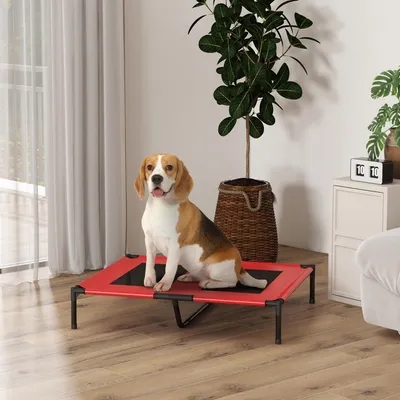 Produktbild von Hundebett erhöht wetterfest, Hundeliege outdoor, Oxford-Gewebe Metallrahmen, Rot | 92 x 76 x 18 cm | bis 30 kg | atmungsaktiv