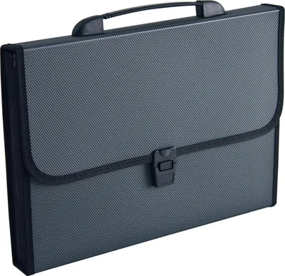 Image de Fächertasche DIN A4 12Fächer Polypropylen schwarz