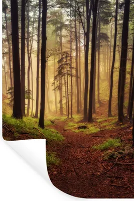 Produktbild von MuchoWow® Wandtattoo Wandsticker Wandaufkleber Bäume - Natur - Wald 20x30 cm Selbstklebend und Repositionierbar - Sticker - Dekorfolie