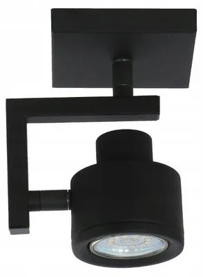 Zdjęcie produktu dla Spot reflektor Alenis 2 czarny 1xGU10x50W metal wym:15x9x9cm IP20 Reality