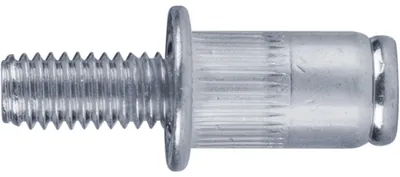 Immagine prodotto di Set di rivetti in acciaio FORTUM 25 pezzi, M6x12mm, 4770676
