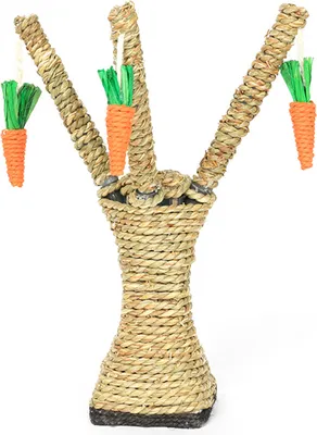 Immagine prodotto di Giocattoli da masticare, tavolo da salto per gatti, divertenti giocattoli masticabili a forma di carota, forniture per animali domestici, giocattoli per gatti