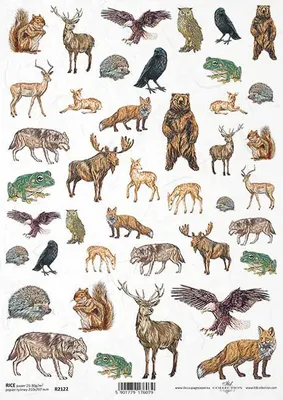 Immagine prodotto di ITD carta di riso decoupage carta artigianale tecnica tovagliolo di carta morbida, animali della foresta R2122