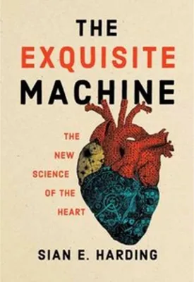 Zdjęcie produktu dla The Exquisite Machine