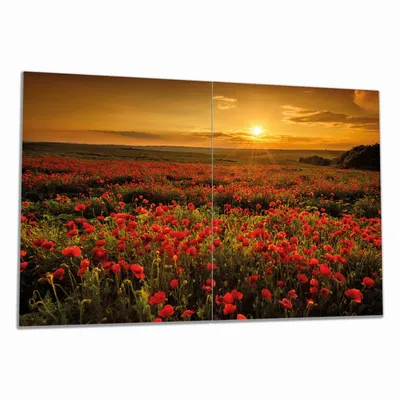 Produktbild von Wallario Herdabdeckplatte aus Glas, Größe 80 x 52 cm 2-teilig, Motiv Mohnblumenwiese bei Sonnenuntergang am Abend