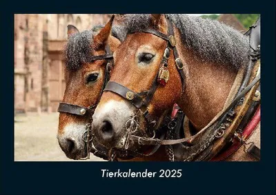 Produktbild von Tierkalender 2025 Fotokalender DIN A4