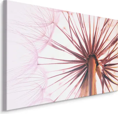 Produktbild von Fabelhafte Canvas LEINWAND BILDER 120x80 cm XXL Kunstdruck Natur Blumen Pusteblume