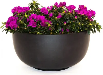 Produktbild von Elegant Einrichten | Pflanzkübel | Fiberglas | rund | D80xH40cm | elegant schwarz-matt.