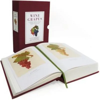 Zdjęcie produktu dla Wine Grapes