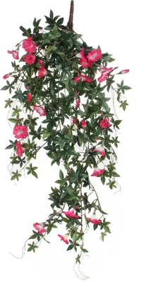 Obrázek produktu pro Slídové dekorace Petúnie - závěsná umělá rostlina - D15 x Š20 x V80 cm - Fuchsie