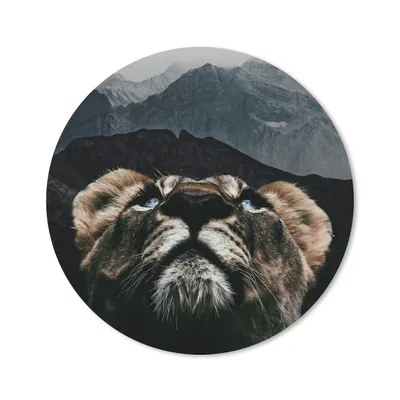 Produktbild von MuchoWow® Mauspad Mousepad Tiger - Berg - Tiere 20x20 cm - Mousepads - Maus Mat - Pad - Mausunterlage - Schreibtischmatte