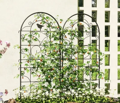 Produktbild von 2er Set Rankgitter Metall zum Stecken rostfrei Rankhilfe mit Vogeldesign für Kletterpflanzen 50x120 cm