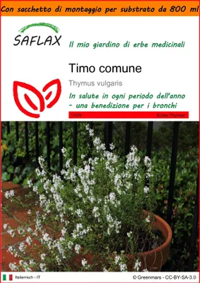 Immagine prodotto di SAFLAX Garden in the bag - Timo comune - 200 semi - Thymus