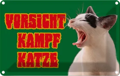 Produktbild von vianmo Blechschild 20x30 cm Vorsicht Kampfkatze grün Warnschild Hinweisschild Sicherheit