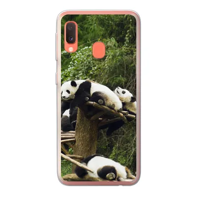Produktbild von MuchoWow® Handyhülle Schutzhülle Hülle für Samsung Galaxy A20e Pandas - Holz - Treppe Silikon Softcase Handy Hülle - Abdeckung