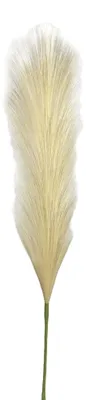 Produktbild von Künstliches Pampasgras ca. 100cm CREME