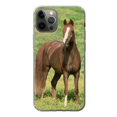 Produktbild von MuchoWow® Handyhülle Schutzhülle Hülle für iPhone 13 Pro Pferde - Gras - Braun Silikon Softcase Handy Hülle - Handy-Tasche