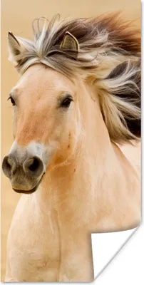 Produktbild von MuchoWow® Poster Pferde - Tiere - Mähne - Porträt 60x120 cm - Wandschmuck