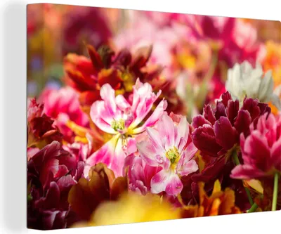 Produktbild von MuchoWow® - Leinwandbilder - Mehrfarbige Tulpen, Wandbild, Wanddeko Bilder Wohnzimmer, 120x80 cm