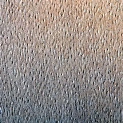 Produktbild von Clairefontaine Etival, Kunstpapier, 160 g/m², 25 Blätter