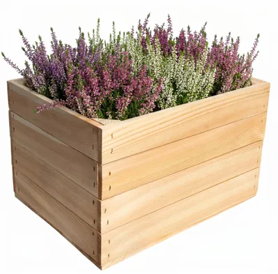 Productafbeelding van Creative Deco houten kist zonder sleuven, Natuurlijk 40x30x23 cm (+-1 cm)