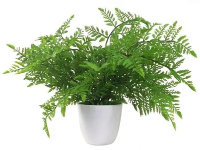Produktbild von Künstliche Pflanze mit Blättern grün Deko