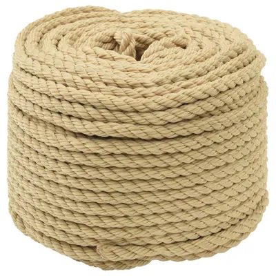 Produktbild von Bootsseil 250 m 0.8 Natur PP