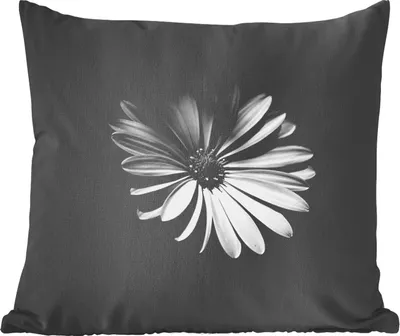 Produktbild von MuchoWow® Zierkissen Sofakissen Wohnzimmer Dekokissen 40x40 cm Ein weißes Gänseblümchen auf schwarzem Hintergrund - Foto Kissen - Schlafzimmer Dekoration