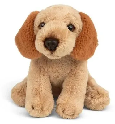 Produktbild von ANIMIGOS – Miniatur-Hund, Cockapoo-Rasse