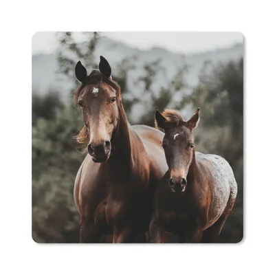 Produktbild von MuchoWow® Mauspad Mousepad Pferd - Fohlen - Natur 20x20 cm - Mousepads - Maus Mat - Pad - Mausunterlage - Desk Mat - Bureauartikeln