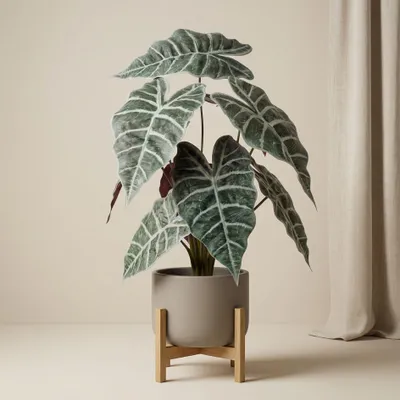 Produktbild von Alocasia - Pfeilblatt - Busch im Topf 40 cm - Kunstpflanze