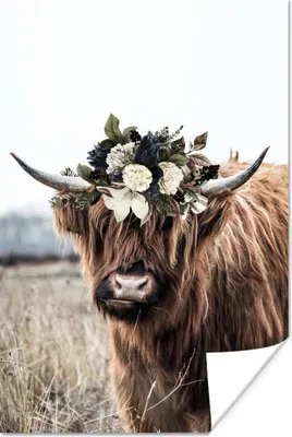Produktbild von MuchoWow® Poster Scottish Hochlandrind - Gras - Blumen 20x30 cm - Papierdruck