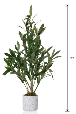 Produktbild von Künstlicher Olivenbaum - Kunstpflanze 60 cm - Realistische Zimmerpflanze für Tischdeko Wohnzimmer Büro - Pflegeleicht immergrün - Polyesterblätter - Grün