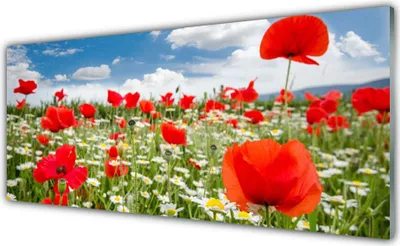 Produktbild von Küchenrückwand aus Glas 125x50cm Spritzschutz Wiese Blumen Natur