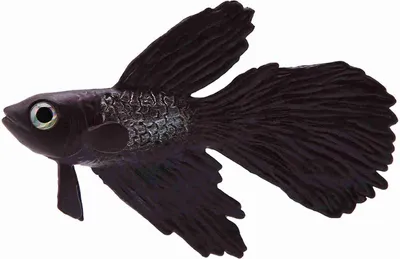 Produktbild von Aquarium-Dekoration, lustige künstliche Silikonfisch, hochwertiges Simulationsdesign, schöner Blickfang für Ihr Aquarium, ideal für Betta-Fische