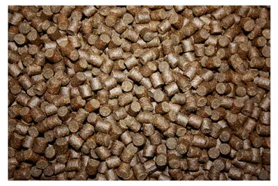 Produktbild von Winterfutter für Koi sinkend Gesundheitsfutter antibakterielles Koifutter mit Monoglyceriden Energie für Fische im Winter 5mm 5kg Sack
