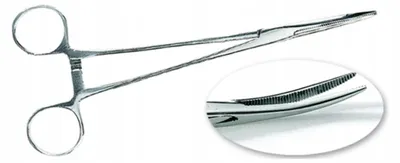 Produktbild von Jaxon Angelzange gebogen 18cm für Angler