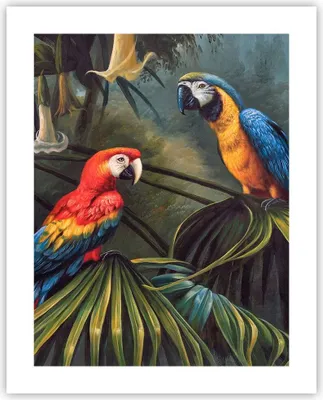 Produktbild von Poster - Poster ohne Rahmen - Ara Papageien Palmen - 40x50 cm - Wand Bild - Wanddeko - Wandbilder - Kunstposter - Wandposter - Bilder - Kunstdruck - Wanddekoration - Wandbild - P2XPA40x50-4780