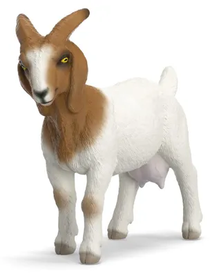 Produktbild von schleich FARM WORLD 14929, 3 Jahr(e), Mehrfarbig, Kunststoff