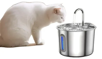 Immagine prodotto di Fontana per gatti, capacità 2,2 l, ultra silenziosa ≤28dB, acciaio inossidabile 304, triplo sistema di filtraggio, finestra di controllo del livello dell'acqua