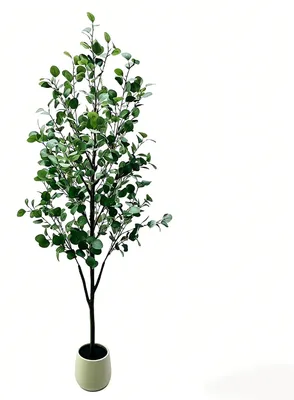 Immagine prodotto di Albero di eucalipto artificiale - Pianta ornamentale da interno, altezza 180 cm - Foglie realistiche - Tronco naturale - Grande pianta da interno, ideale per ambienti residenziali e uffici - Verde