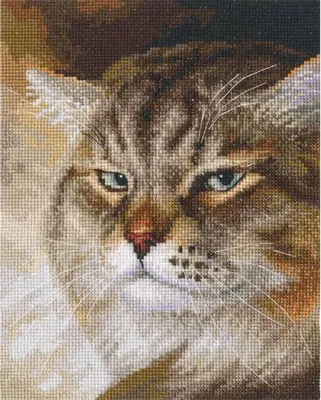 Immagine prodotto di Confezione da ricamo a punto croce RTO "Macho", schema contato, 16x20cm