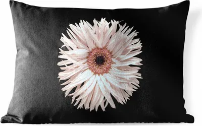 Produktbild von MuchoWow® Outdoor Kissen - Barberton - Blumen - Garten - 60x40 cm - Wetterfest - Lounge Kissen - Zierkissen - Kissen für Innenräume