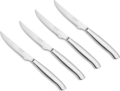 Steakmesser-Set 4-teilig, Nitrum-Edelstahl, silber