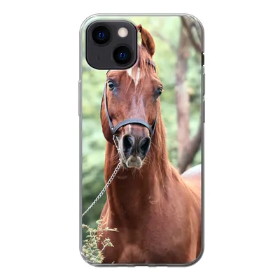 Produktbild von MuchoWow® Handyhülle Schutzhülle Hülle für iPhone 13 Pferd - Wald - Halfter Silikon Softcase Handy Hülle - Karteninhaber